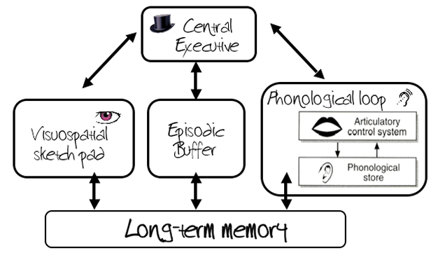 Working memory